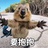 阳光下的星星