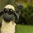Shaun