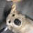 say