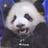 人间天使胖滚滚