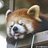 名圆