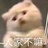 圆圆圆