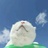 胡萝卜