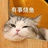 轩轩