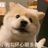 大大大大大