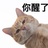 Chris