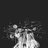 lotus-eater