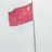 xiaozhuzhu