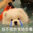 看什么看