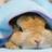 高级患者