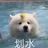 反矫情斗士