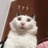 别拿兔子不当肉