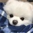 白雪公主