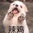 🐶🏺