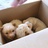 HiSoCute：）