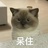 小糖果一样甜