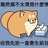 mini兔