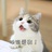 大脸猫爱吃鱼