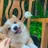 (๑•̀ㅂ•́)و✧
