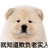 你猜猜