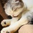 shiori