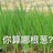 不要无能狂怒