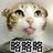 鲁路修