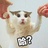江湖骗子