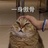 喜东东。