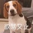 江湖骗子