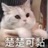 宇宙团