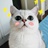 阿拉希特