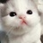 XIANGHAN呀_
