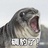 时间海