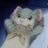 Nのために