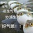 脏脏鹅