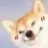 勇敢狗狗🐶