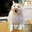 马猴烧ね