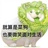 咸鱼永不翻身