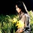 安安安藤望
