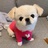 Hereis_keke