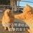 请你坐下发言