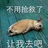 拉姆答拉蹦跶