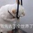 温言盛世
