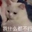 想见你只想见你