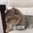 小丸子