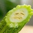 en