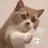 库布里克