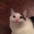 荔之