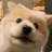 莫中贝